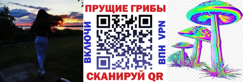 Псилоцибиновые грибы Psilocybine cubensis  даркнет клад  Асино 