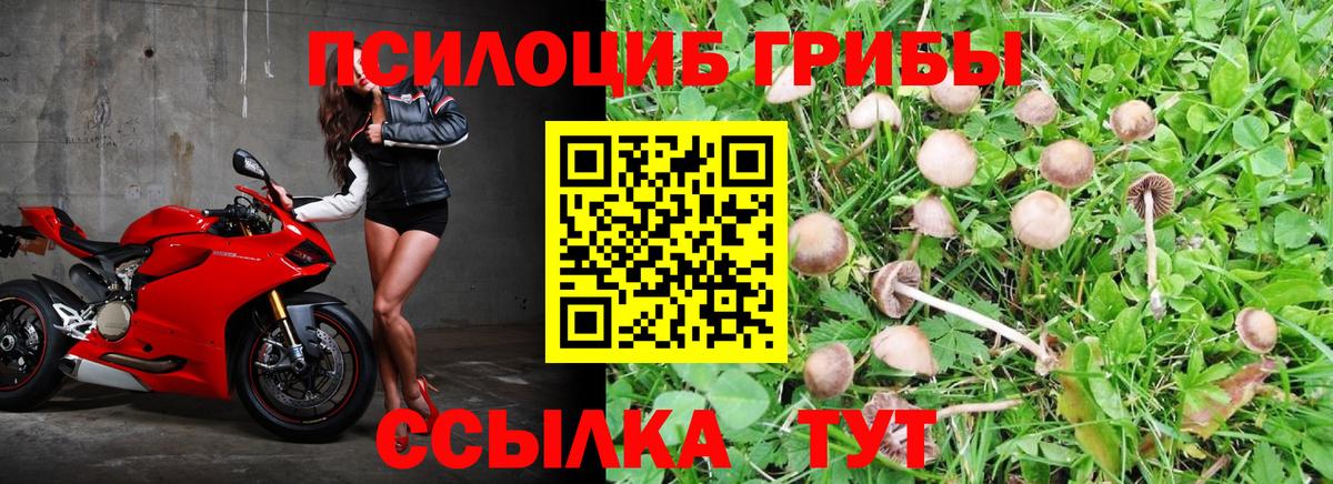 Асино  Галлюциногенные грибы MAGIC MUSHROOMS  Вход с VPN 