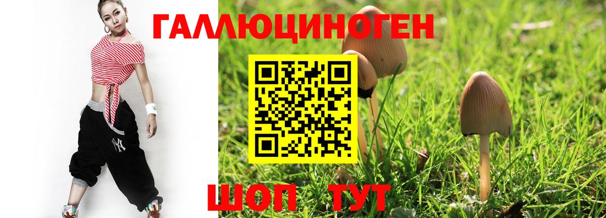 Псилоцибиновые грибы GOLDEN TEACHER Асино